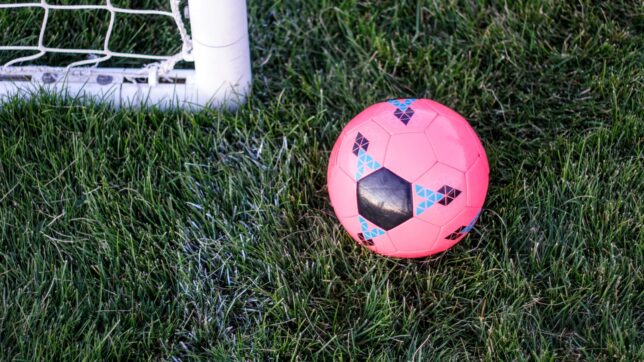 pink rubber ball beside goal net